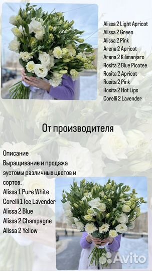 Эустома Лизиантус