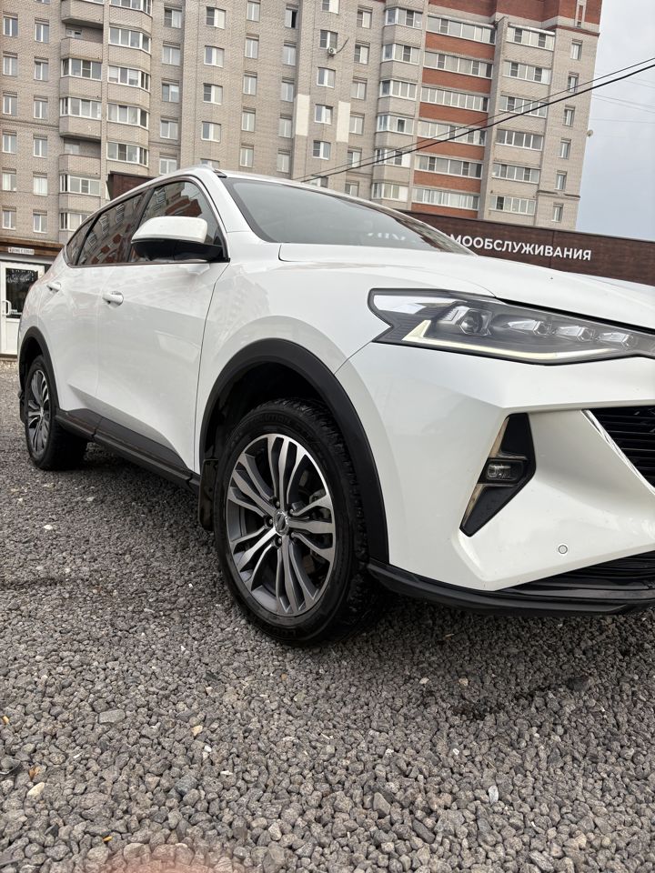 HAVAL F7: фото владельца