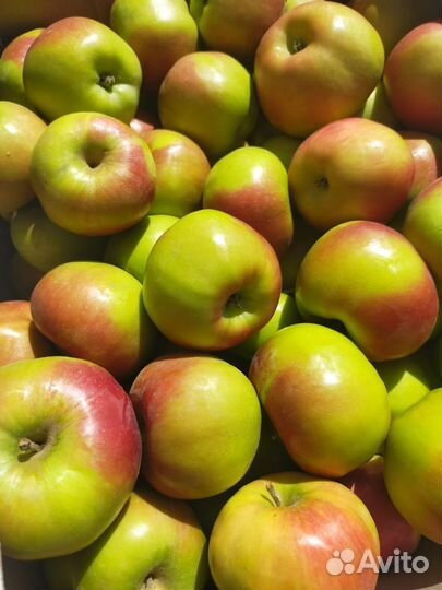 Яблоки Мельба