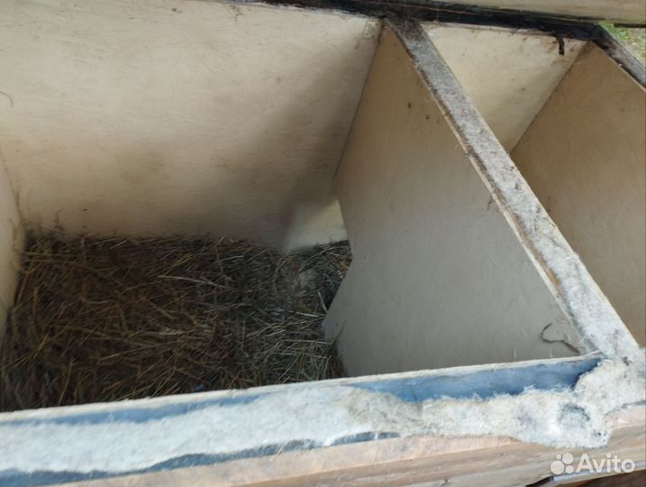 Будка для собаки утепленная