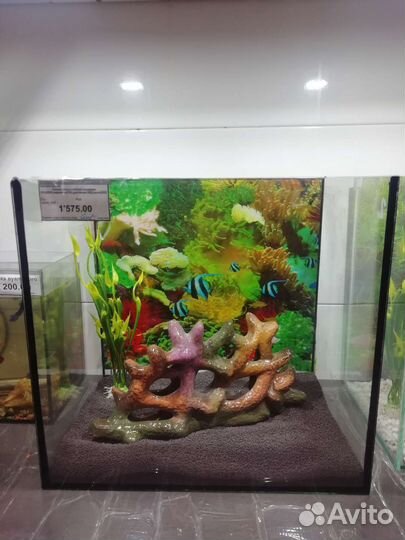 Аквариум