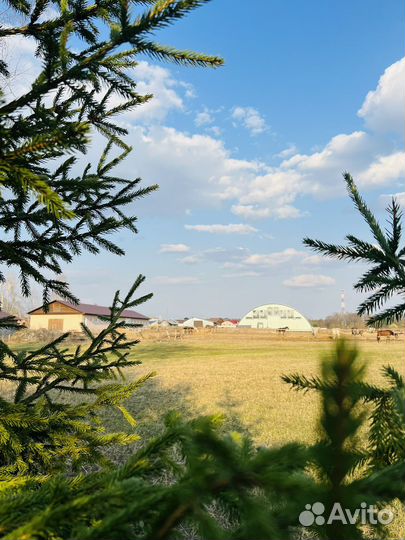 Приглашаем на постой