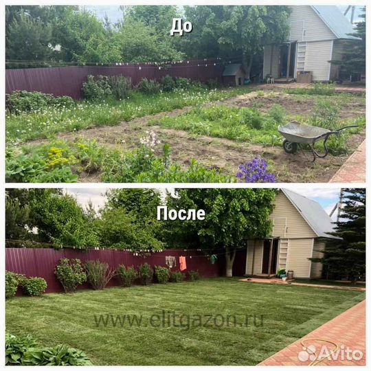 Укладка газона