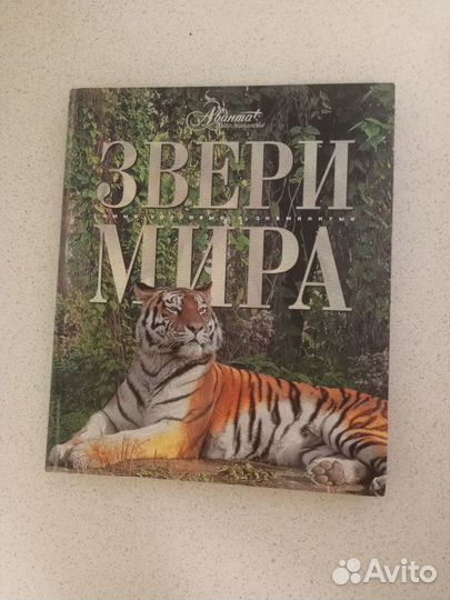 Звери Мира
