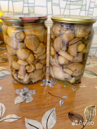 Грибы маринованные