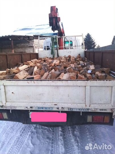 Берёза, лиственница, сосна