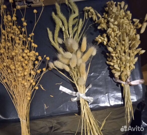 Сухоцветы и материалы для интерьерных композиций и