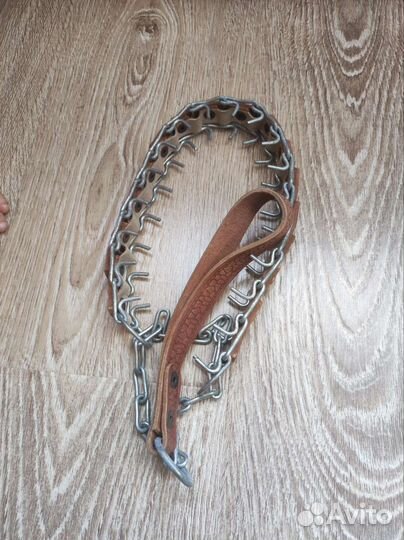 Строгий ошейник для собак