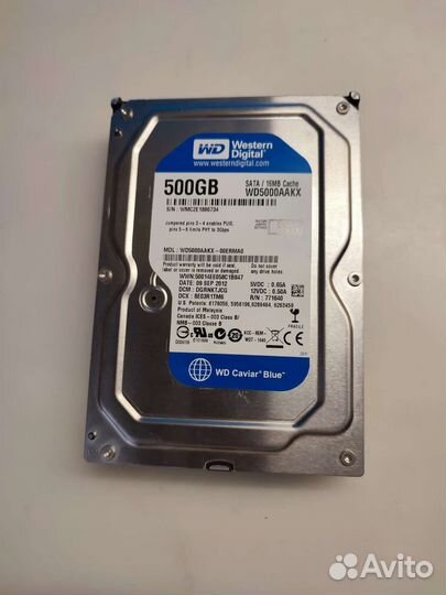 Жесткий диск HDD 500gb WD blue