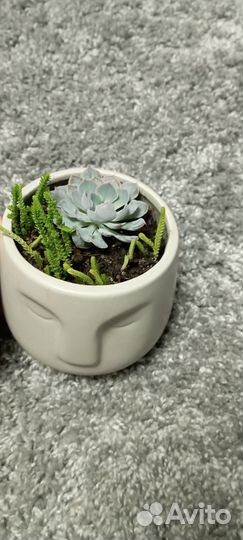 Каменный цветок