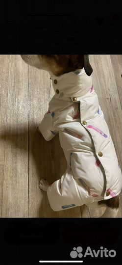 Комбнезон дл собаки типа мопса, бульдога (девочки)