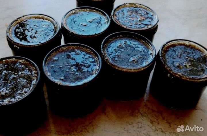 Природный афродизиак для мужчин