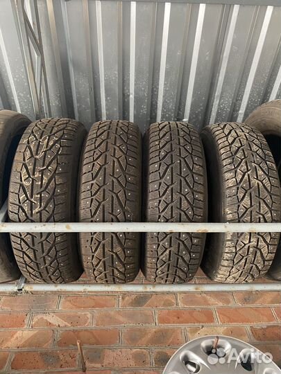 Tigar Ice 195/65 R15