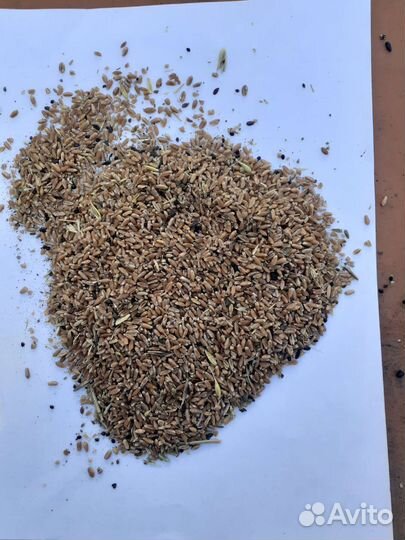 Продаём зерноотходы