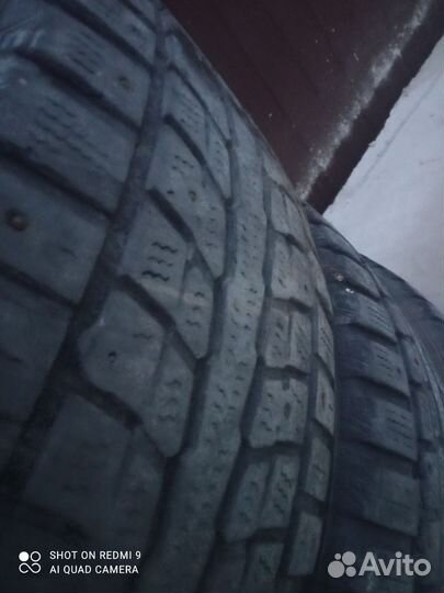 Dunlop All Season Maxx AS1 225/65 R17 95K