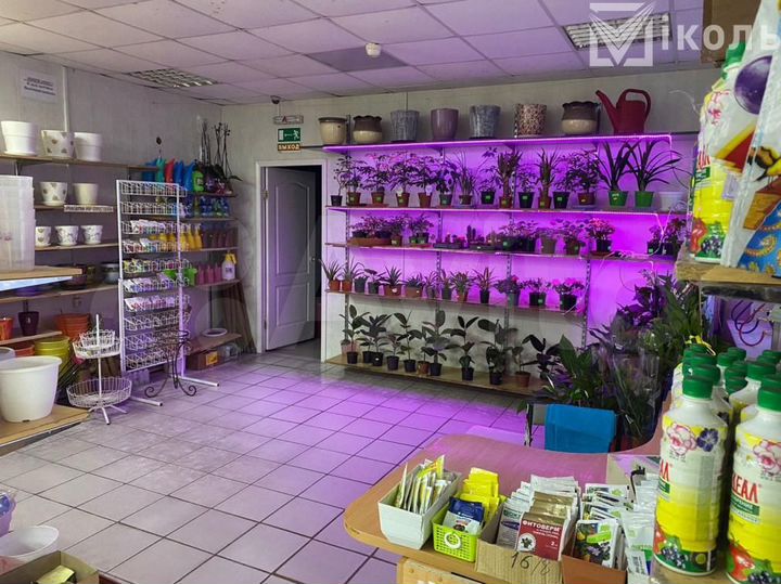 Готовый бизнес, 91.3 кв.м