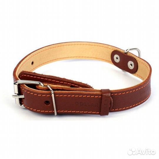 818. Ошейник двойной (ширина 25мм длина 38-50см )