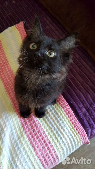 Малыши-крутыши