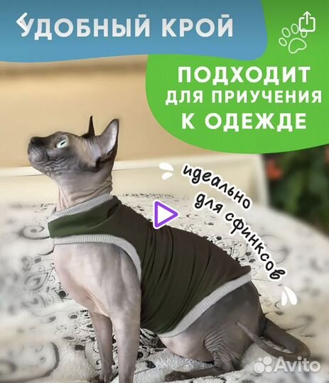 Лоток для котят
