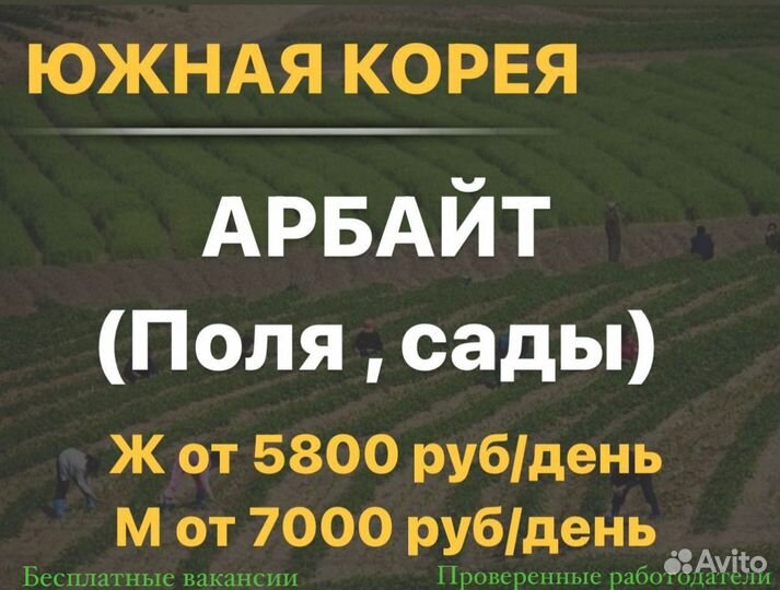 Работа в Корее. Разнорабочий