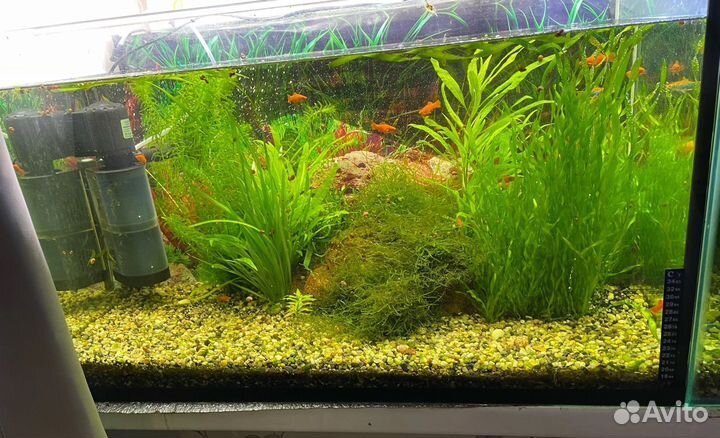 Аквариум в сборе