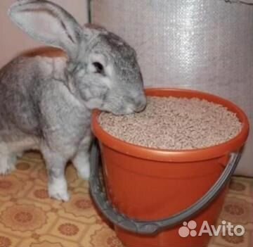 Комбикорм для Взрослых Кроликов