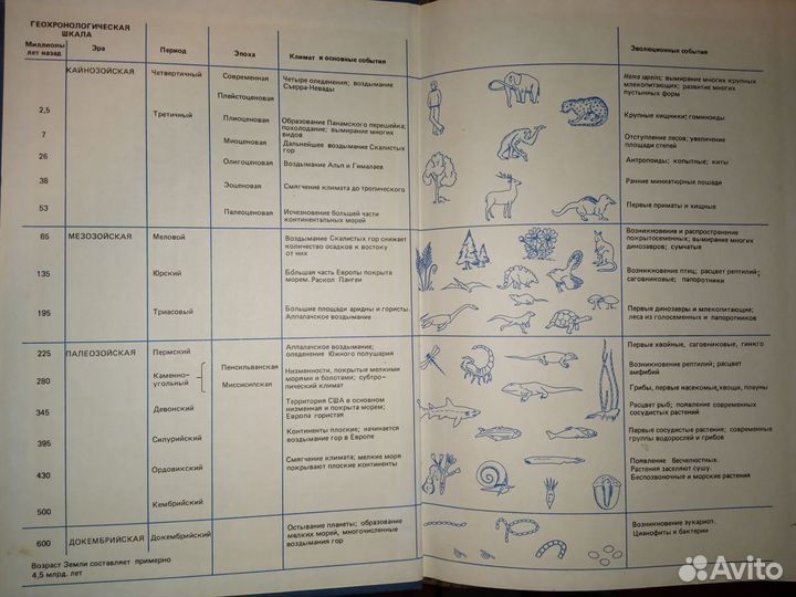Введение в биологию Кемп, Армс