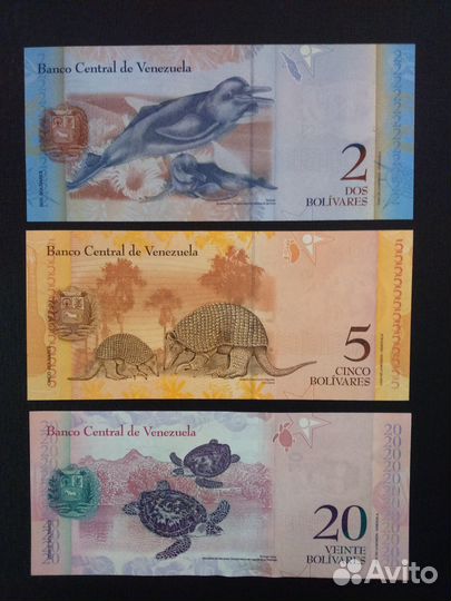 Боны Мира: Венесуэла, Египет, Непал и др. Новые