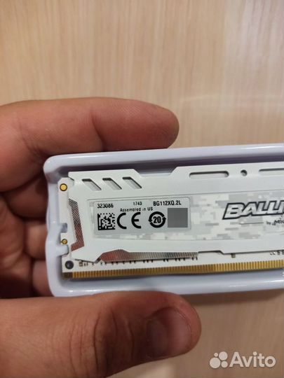 Оперативная память Crucial Ballistix Sport DDR4