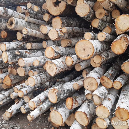 Дрова дуб