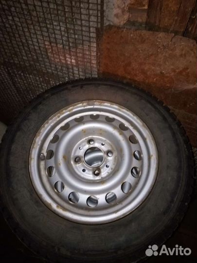 Gislaved Nord Frost 5 175/70 R13