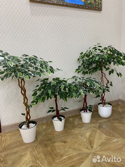 Искусственные растения (фикус)