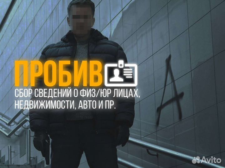 Частный детектив / пробив / детективное агентство