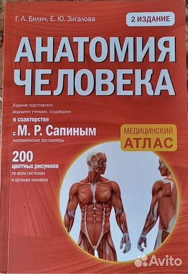 Анатомия человека