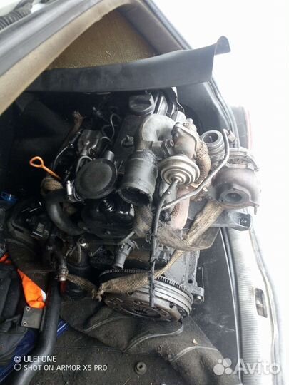 Пассад б5 на разбор