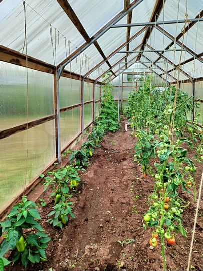 Дом 50 м² на участке 9 сот.