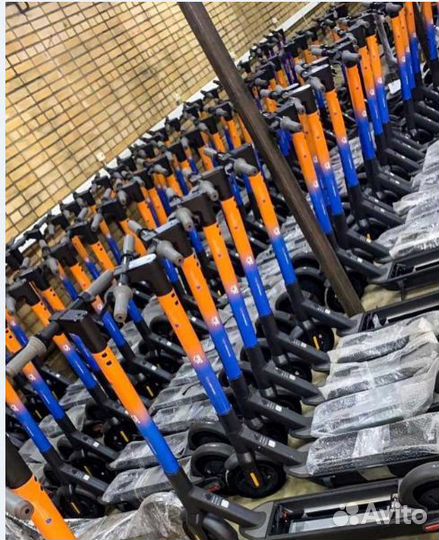 Электросамокаты Ninebot для кикшеринга