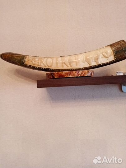 Сувенир. Продам бивень мамонта