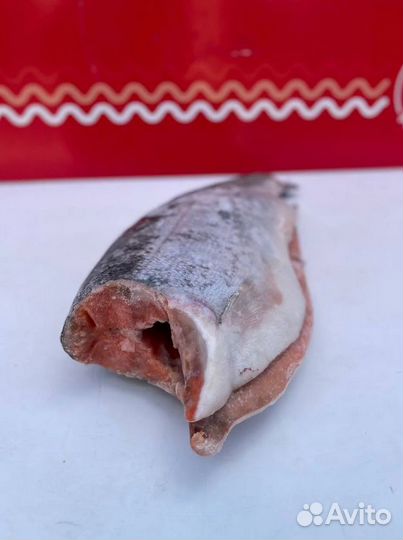 Форель Турция с/м пбг