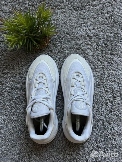 Оригинал Adidas Ozelia J Triple White