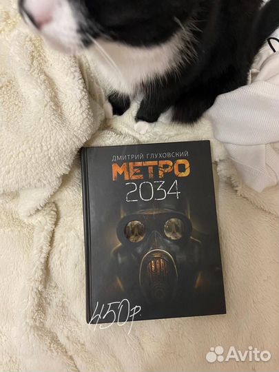 Книга метро 2034