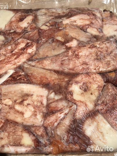 Кальмар тушка