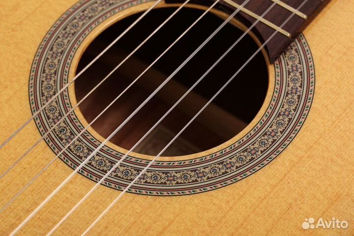 Гитара Cort AC100-SG