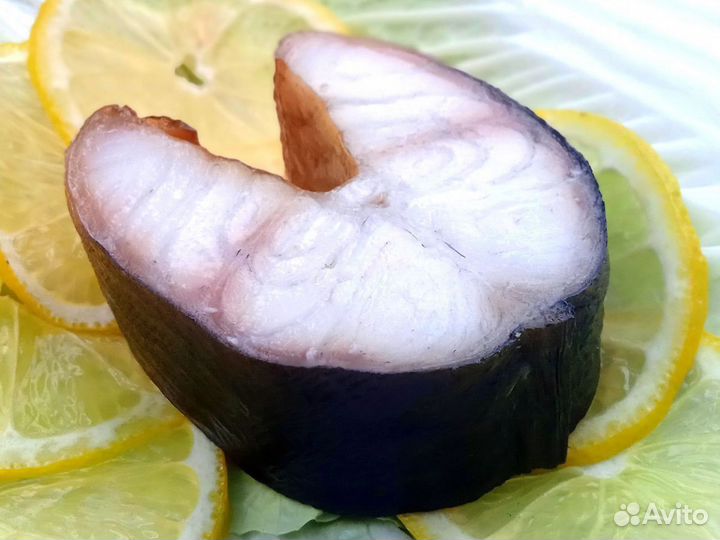 Балтийский угорь