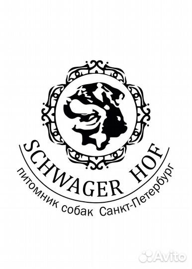 Щенки ротвейлеров