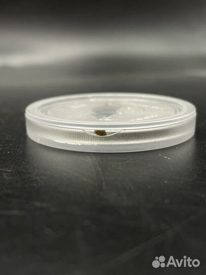 Австралия 1 доллар 2007 Год Крысы 2008 (сзр)