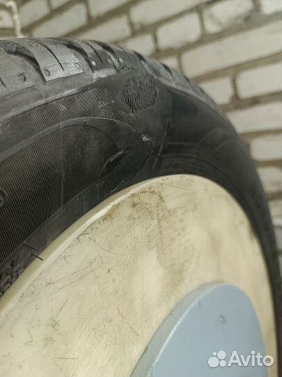 Nokian Tyres Nordman SX2 205/55 R16