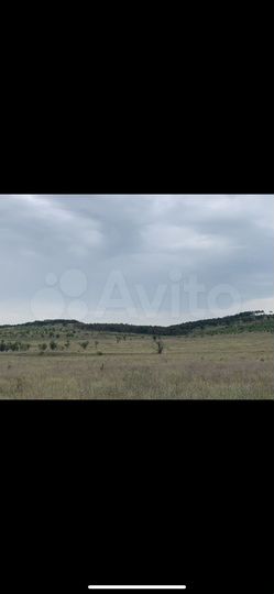 Участок 6,5 сот. (СНТ, ДНП)