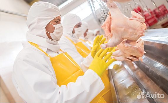 Упаковщик\ца Вахта 15 смен Работа обед\жильё