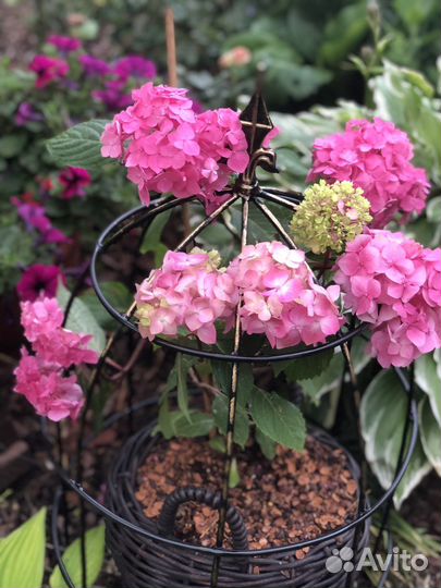 Клетка металлическая опора для кустарников